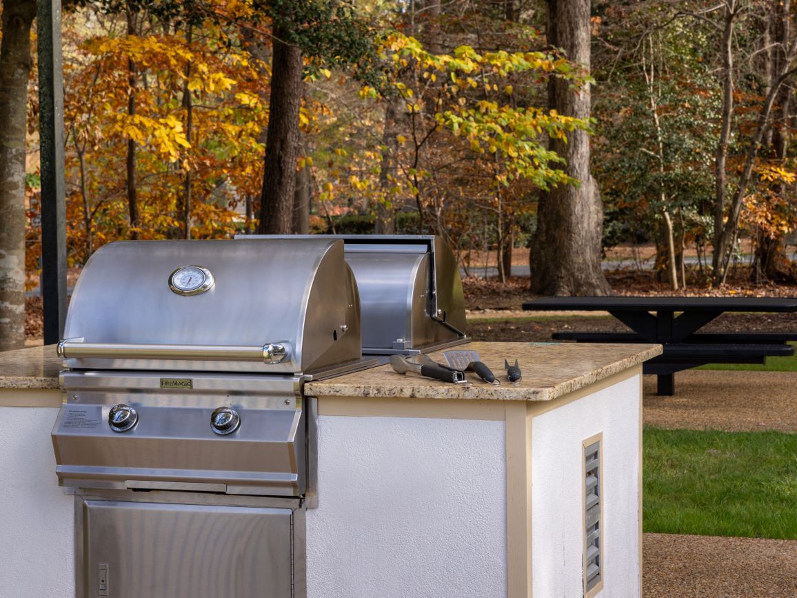 BBQ Grills